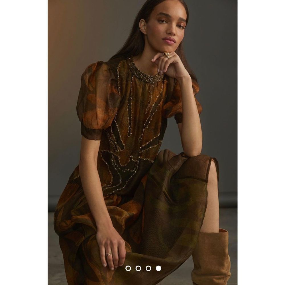 Anthropologie x Roopa Pemmaraju Beaded Silk Organza Maxi Dress Size XL - Picture 3 of 8